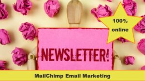 MailChimp Course 100% online