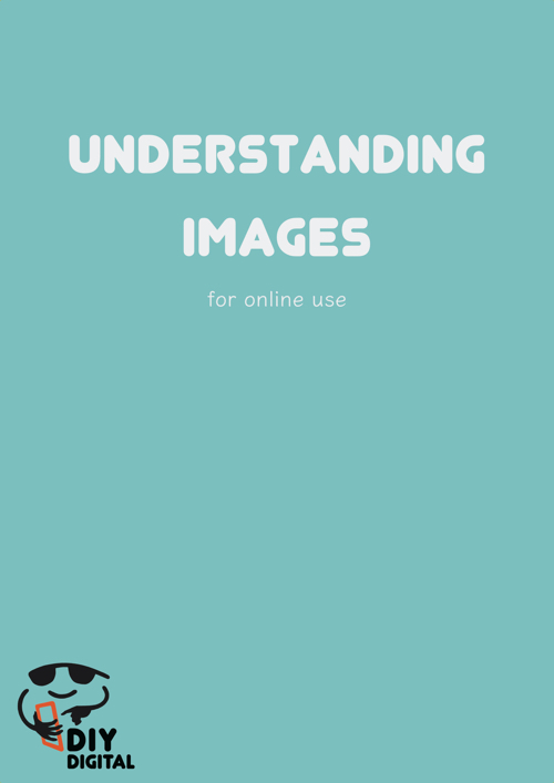Understanding Images ebook